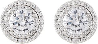 US Polo Assn Jewellery – Ohrringe mit Kristall-Rhodium