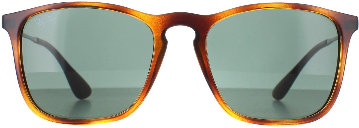 Ray-Ban Sonnenbrille 4221 622/8G Schwarzer Gummi Grau Gradient