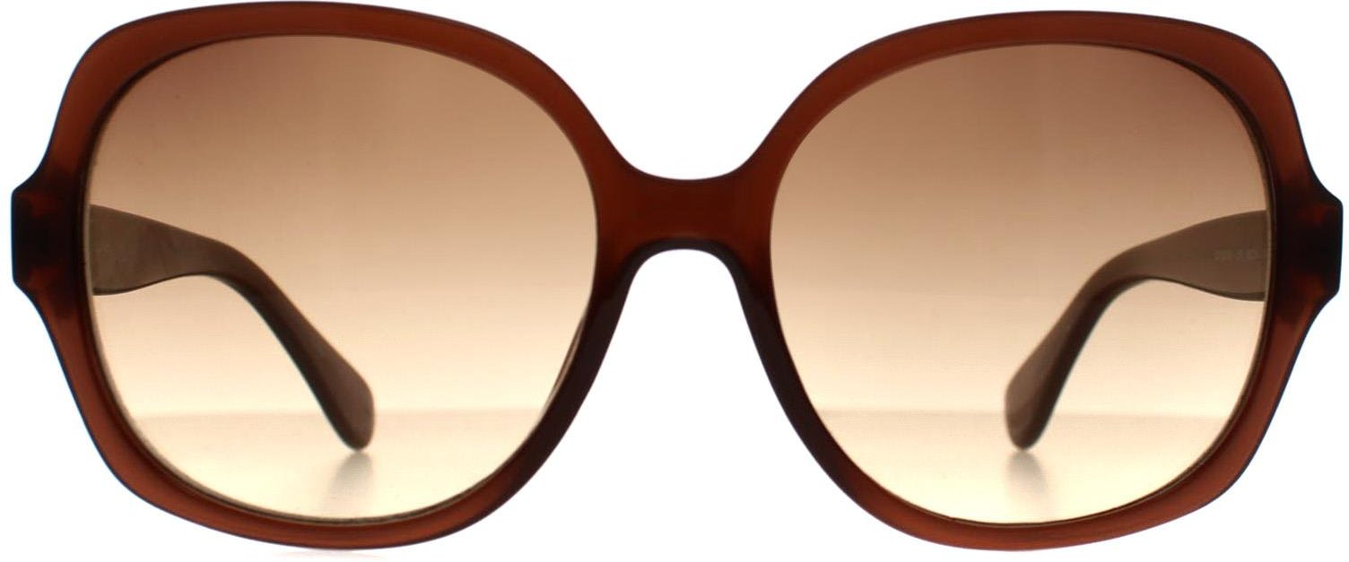 Calvin Klein Cat Eye Damen Kristall Braun Braun Farbverlauf CK19538S