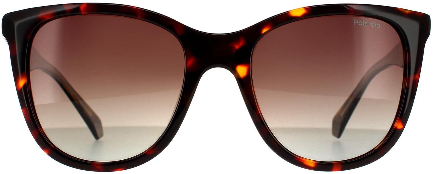 Thumbnail - Polaroid Square Womens Havanna Braun Gradient Polarisierte Sonnenbrille