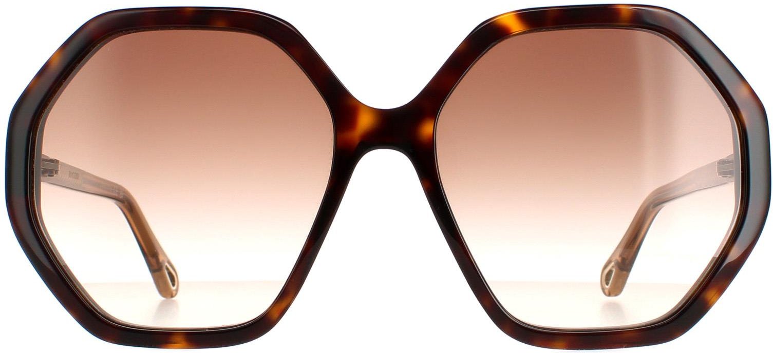 Chloe Round Womens Dark Havana and Brown Crystal Brown Gradient CH0008S Esther