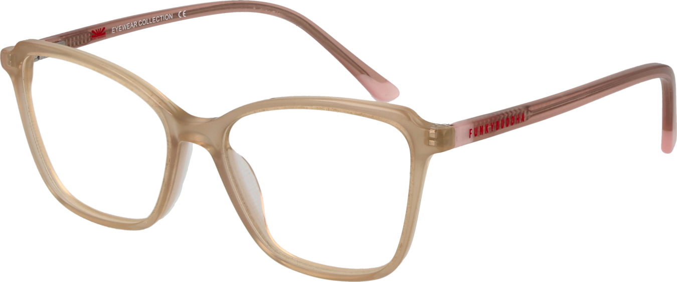 Funky Buddha Brillenfassung FBD1066 003 48