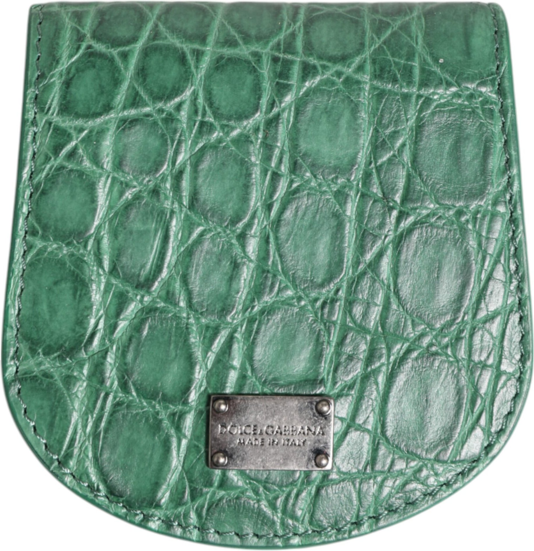 Grünes exotisches Hautmünzen-Kondometui Halter Taschenbörse