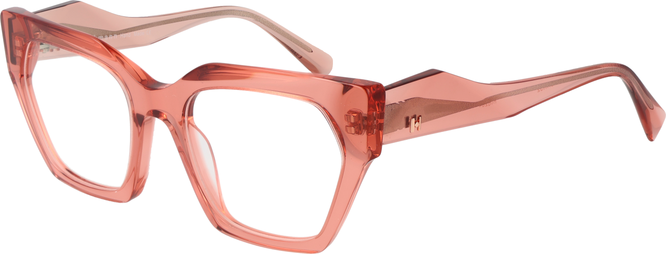 Ana Hickmann Brillenfassung HI6284 T03 53