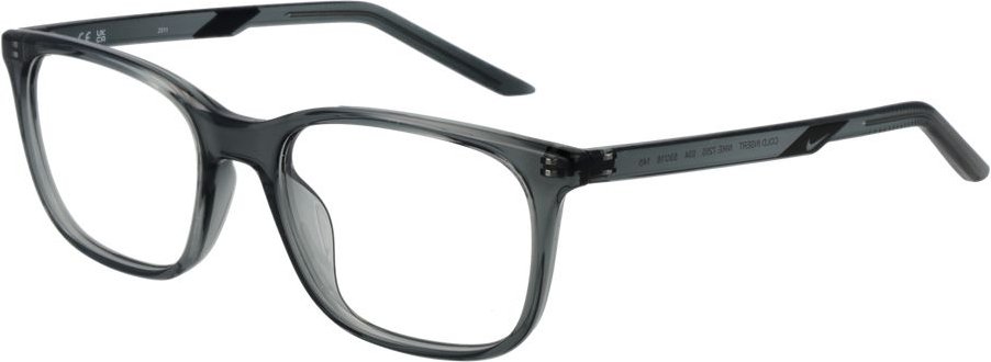 Grau Edelstahl Brillen (Gestelle)