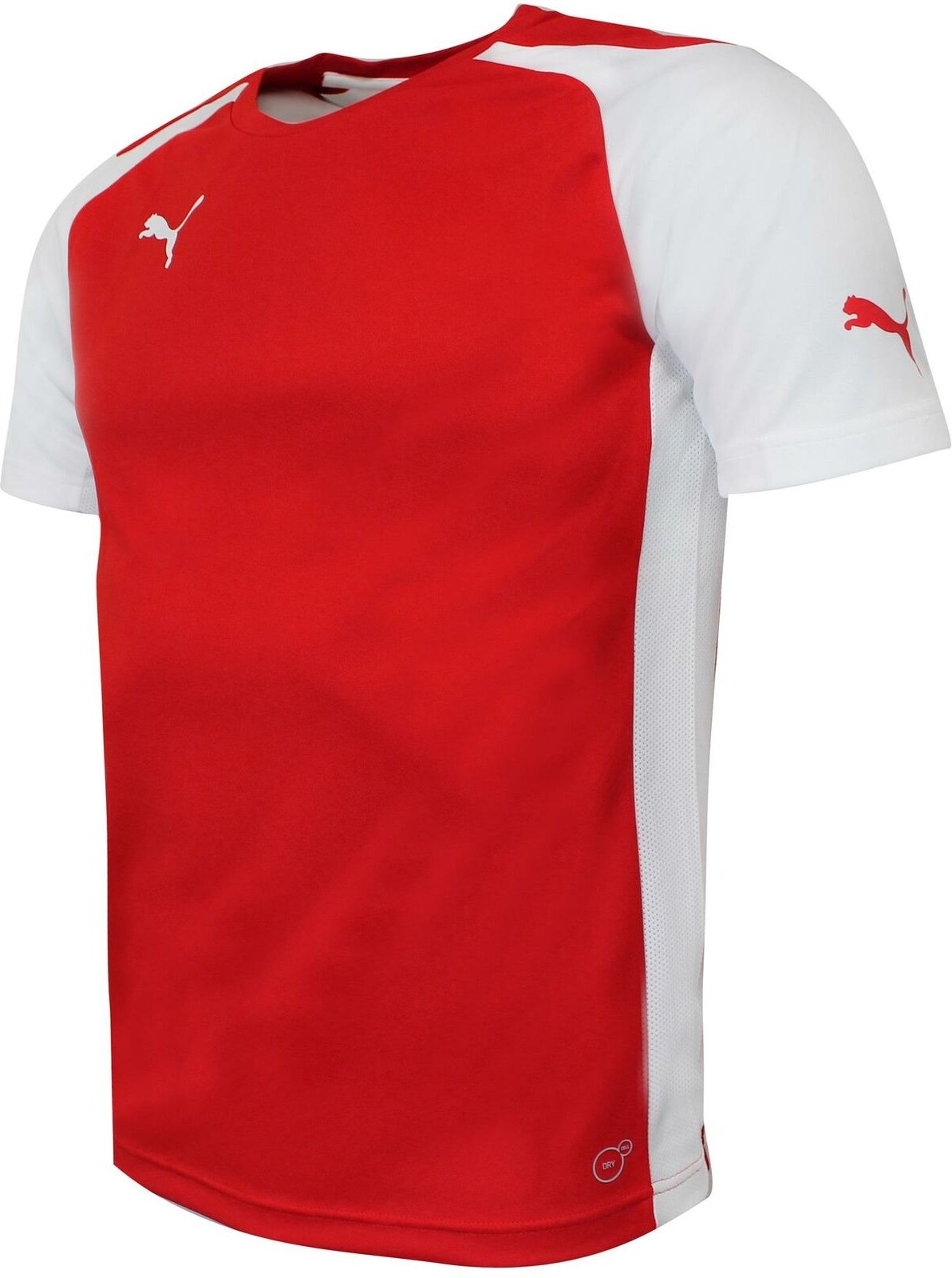 Puma Speed Jersey Training Fitnesssport Sport T -Shirt Rot - Herren