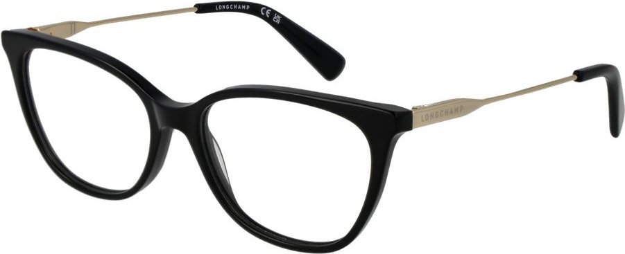 Schwarze Metallbrille (Gestelle)