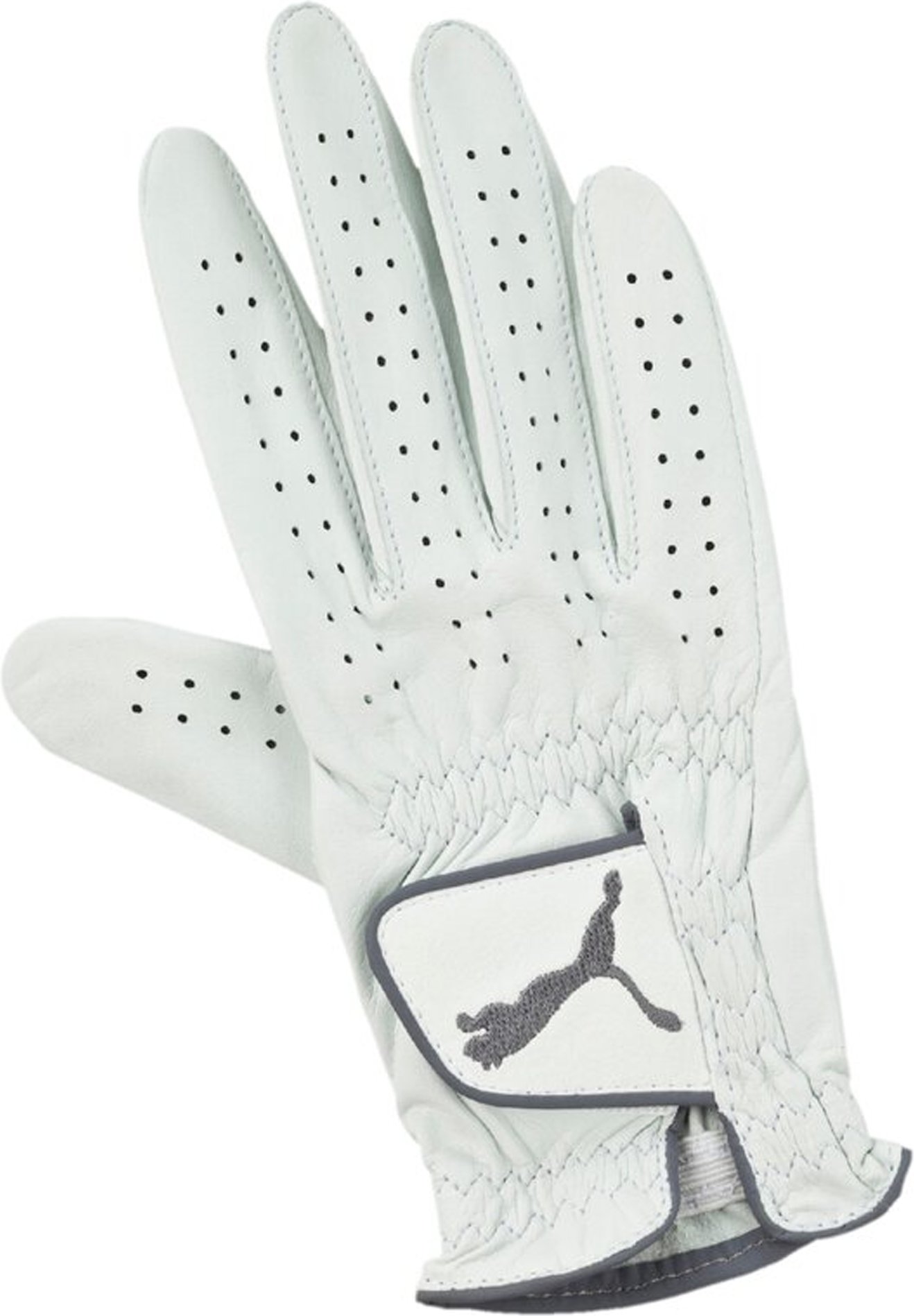 Puma Pro Performance Right Hand Leder White Womens Golf Handschuh 041258 01
