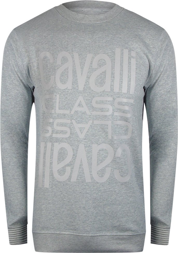 Cavalli Class Sweatshirt Mit Mehreren Logos In Grau