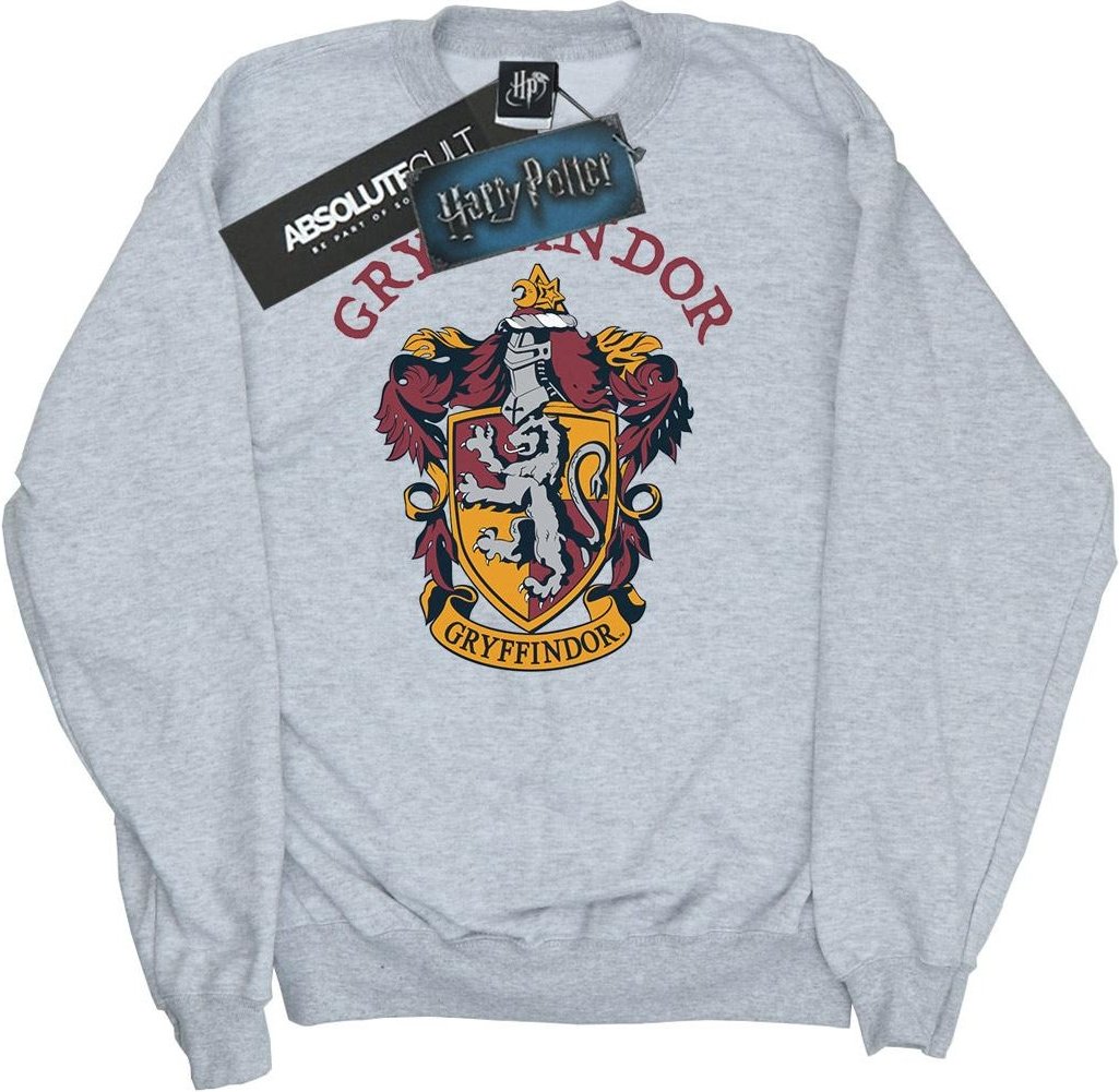 Harry Potter - Sweatshirt für Mädchen (Grau)