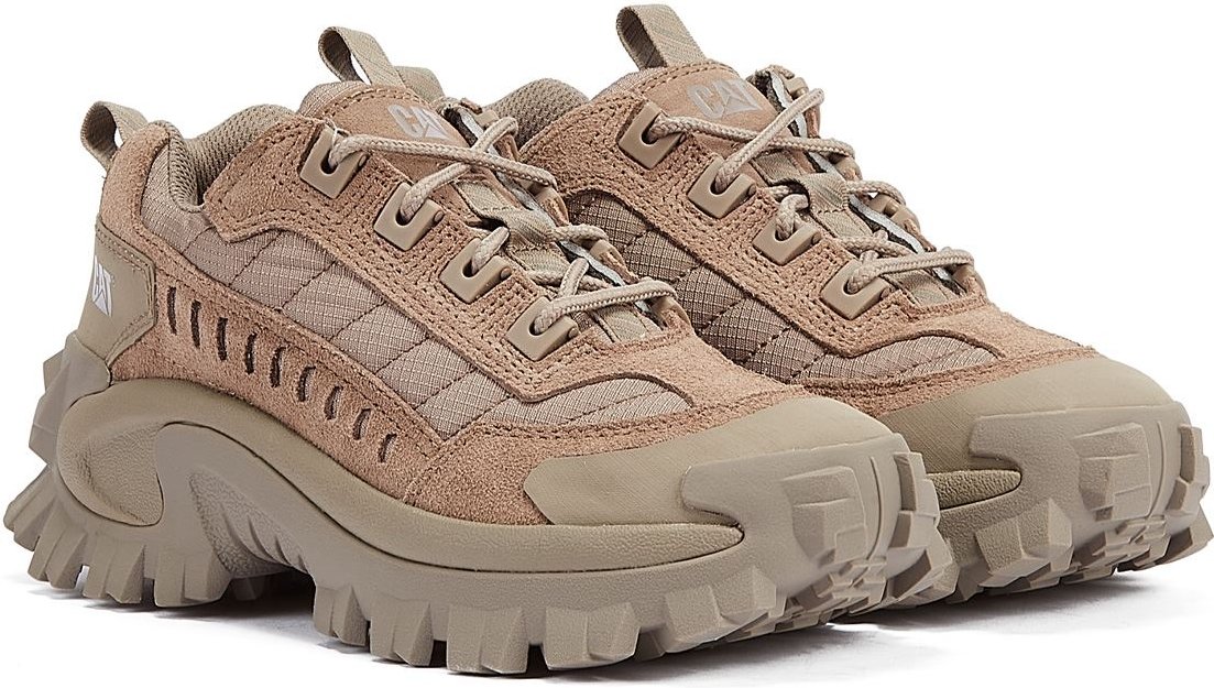 Raupe Eindringling Fungi Trainer