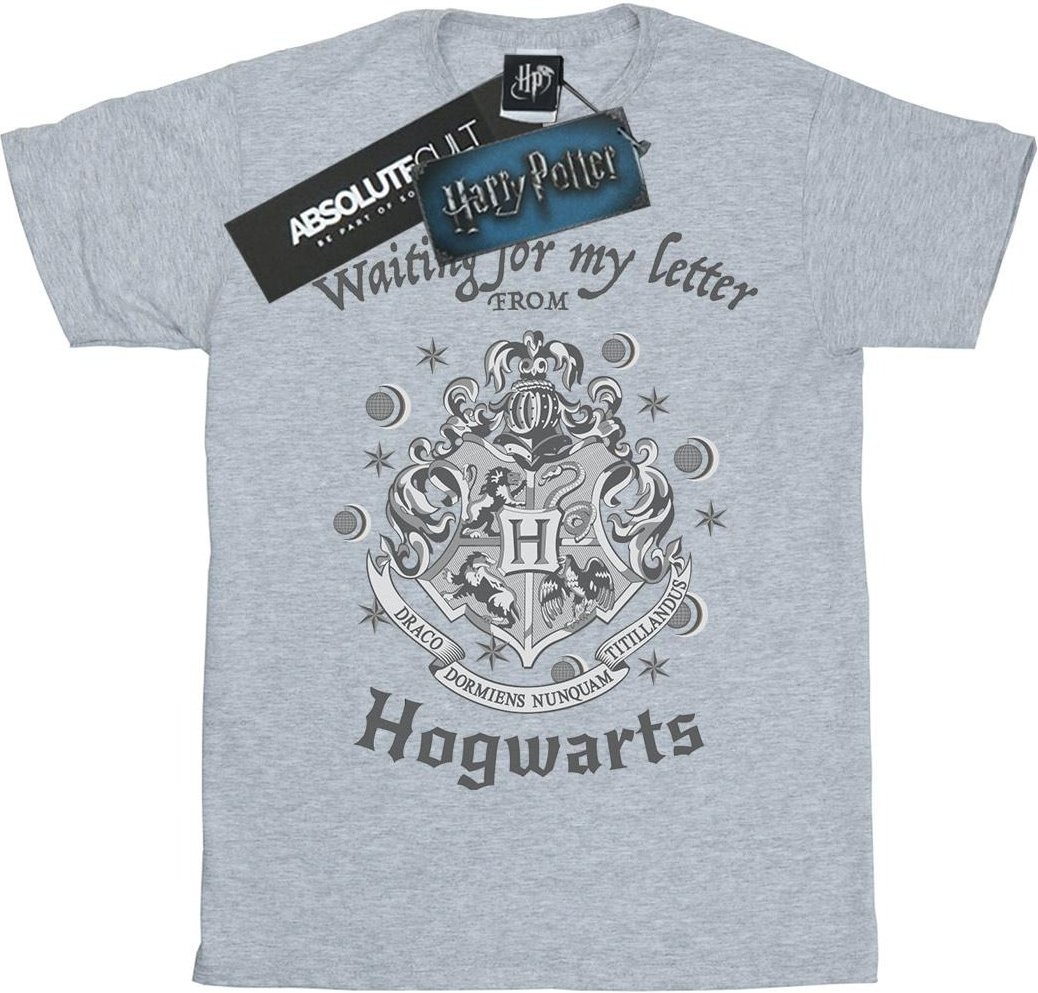 Harry Potter - "Hogwarts Waiting For My Letter" T-Shirt für Herren (Grau)