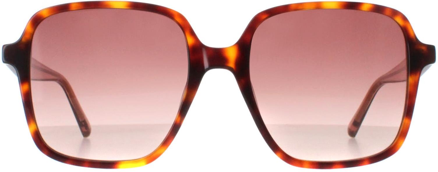 Ted Baker Sonnenbrille TB1688 100 52