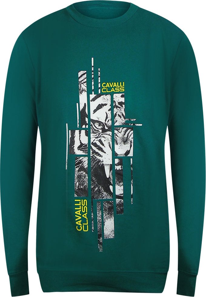 Cavalli Class - Grünes Ottanio-sweatshirt Mit Zersplittertem Tiger-print
