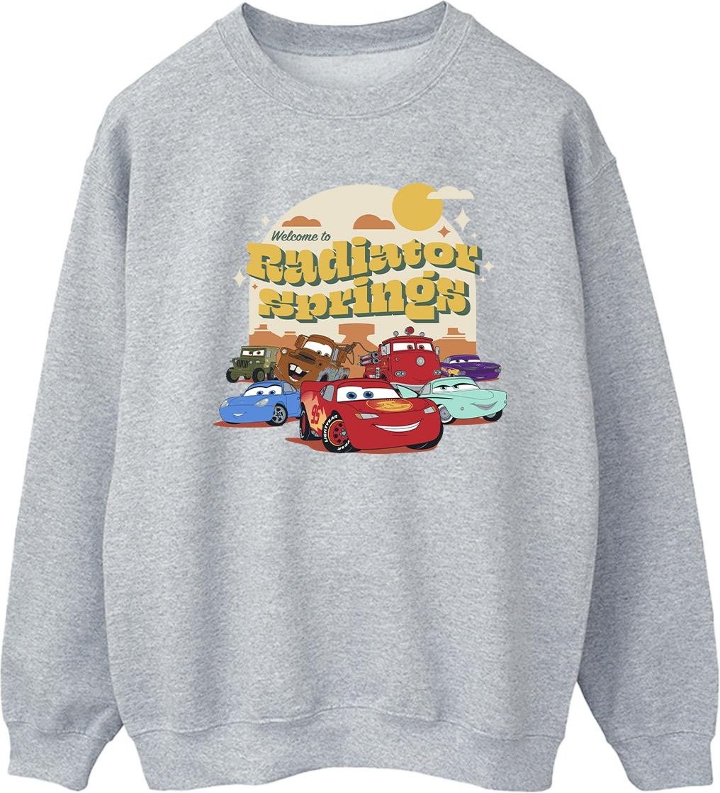 Disney - "Cars Radiator Springs Group" Sweatshirt für Damen (Grau)