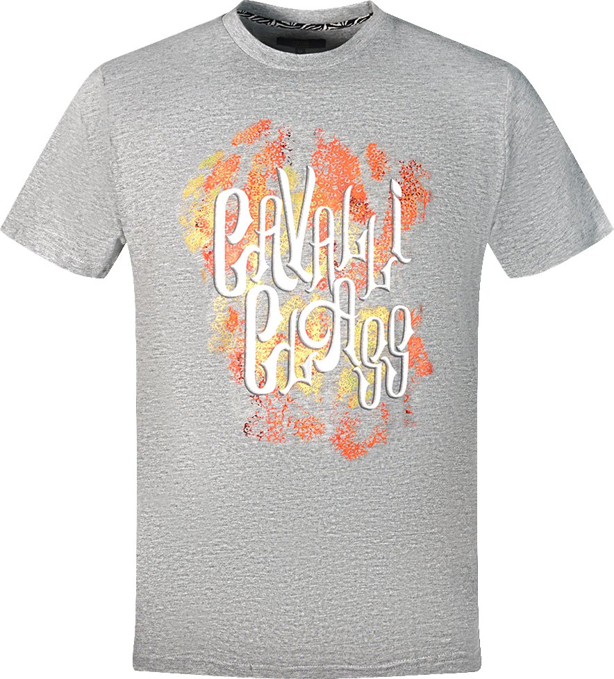 Cavalli Class Kühnes Logo Graues T-Shirt