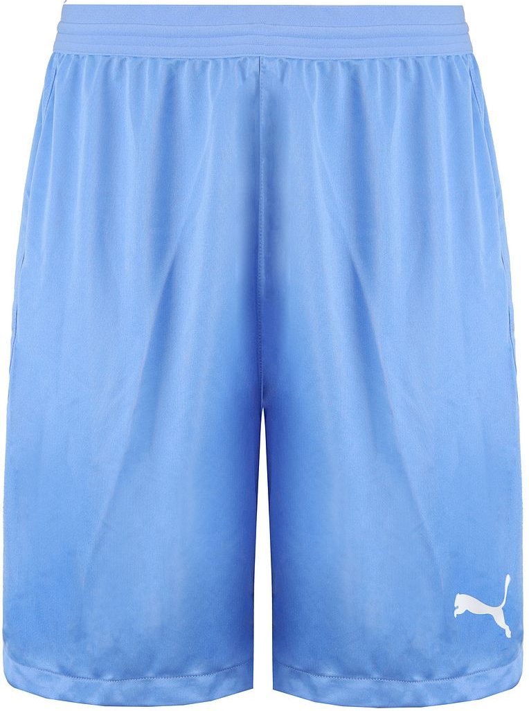 Puma Drycell Teamfinal 21 Stretch Taille Herren Hellblau Shorts 704257 18