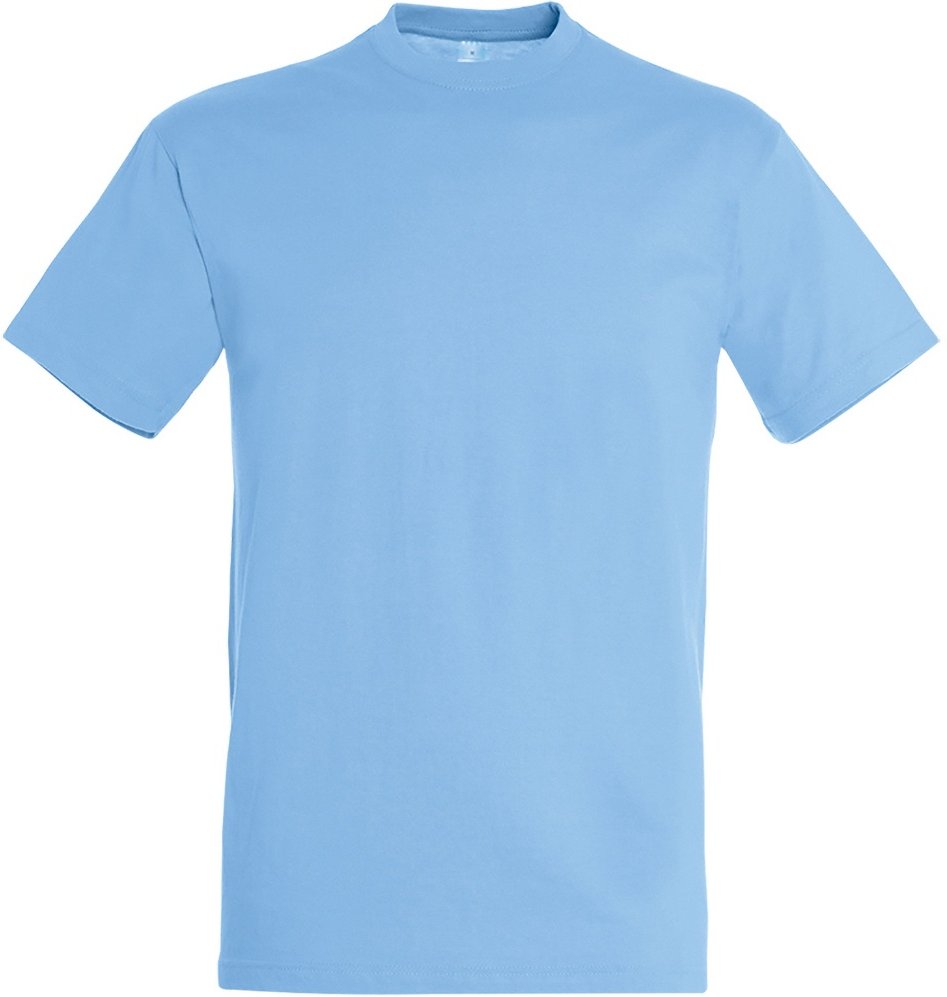 SOLS Herren Regent T-Shirt mit kurzen Ärmeln (Himmelblau)