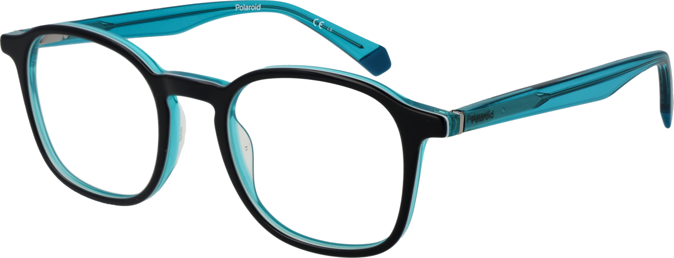 Polaroid Brillenfassung PLD D393 DH420 48