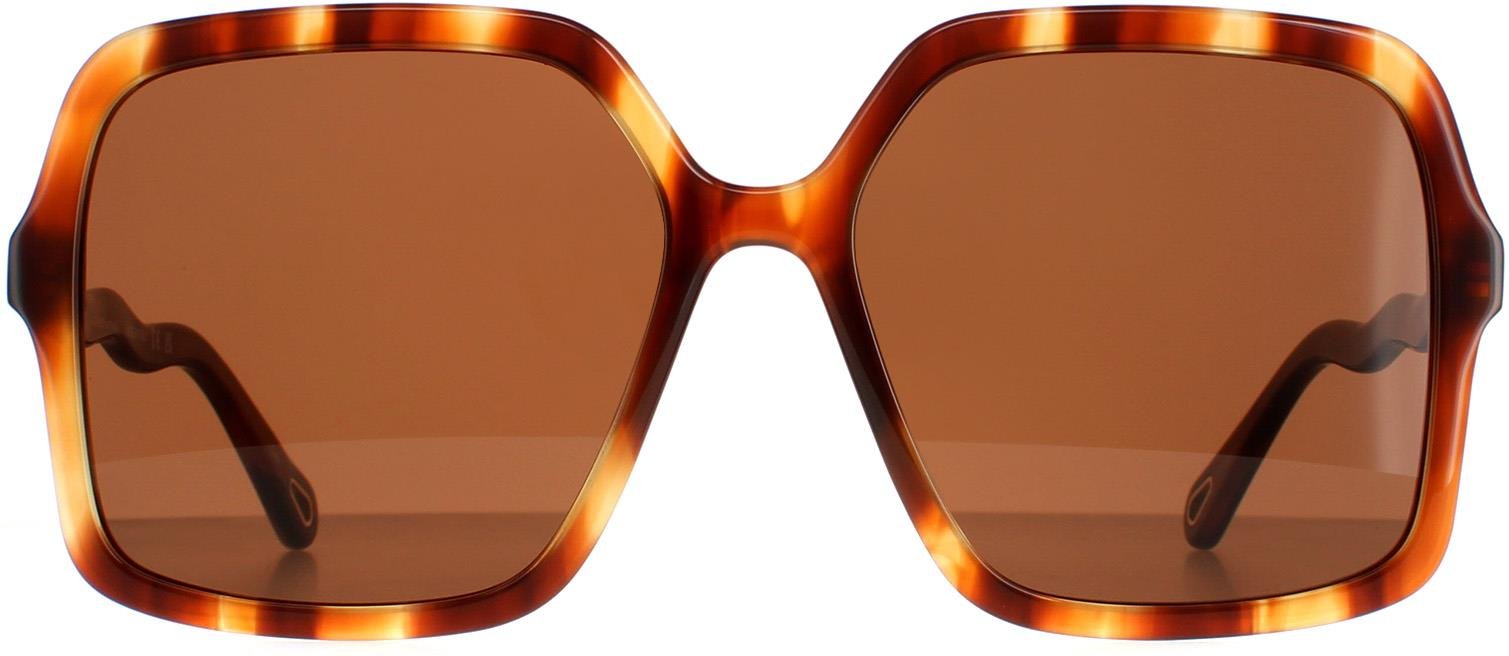 Chloe Quadratisch Damen Havanna Braun CH0086S Zelie