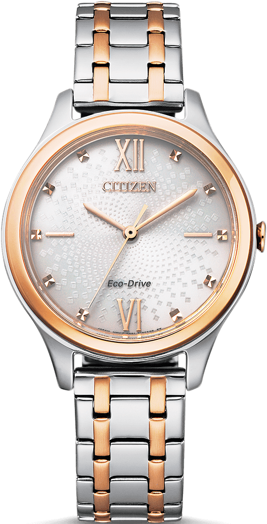 Citizen Damen-Multicolor-Uhr EM0506-77A