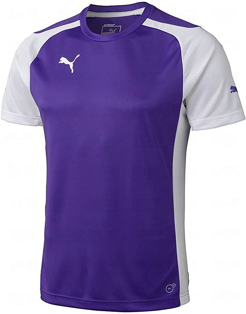 PUMA Kurzarm rund Hals lila Herren T-Shirt 701906 10