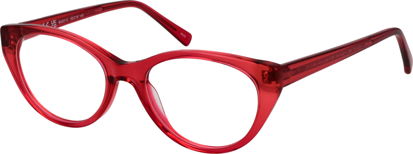 Invu Brillenfassung B4231 C 51