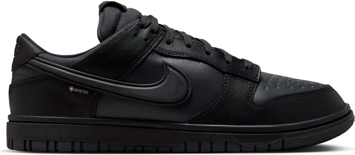 NIKE DUNK LOW GTX