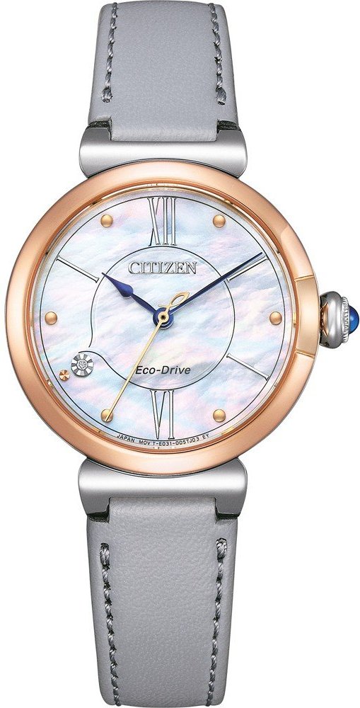 Citizen Damen Grau Uhr EM1074-15D