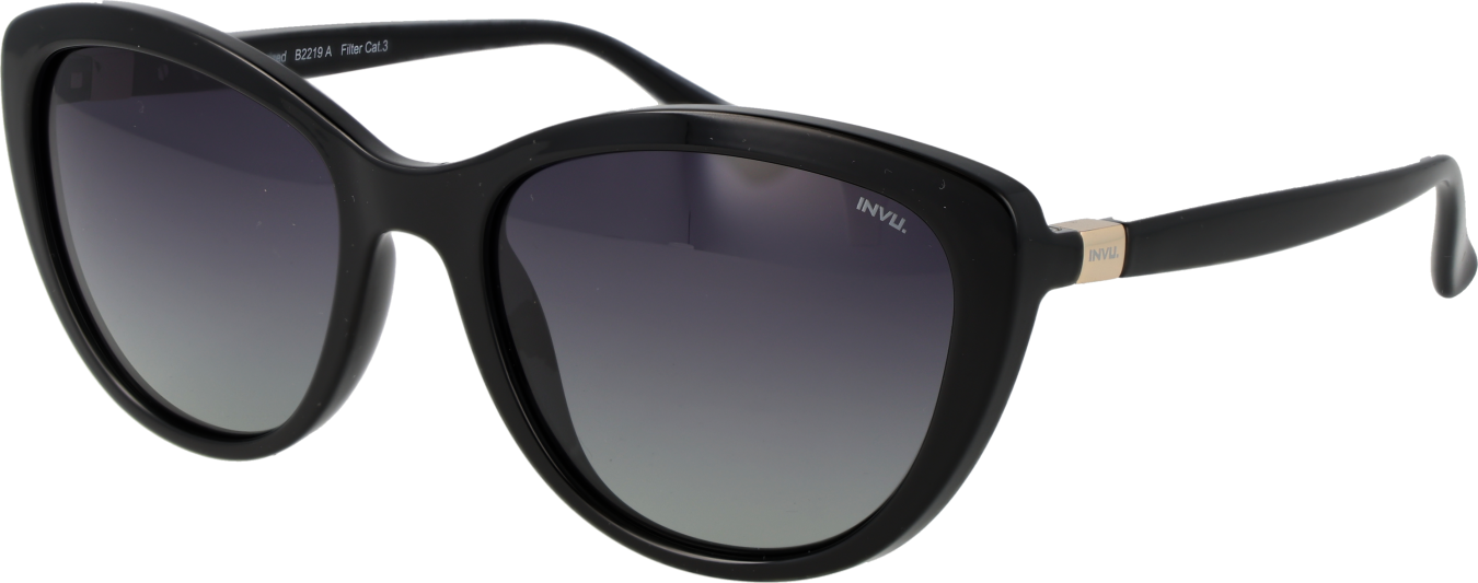 Invu Sonnenbrille B2219 A 55