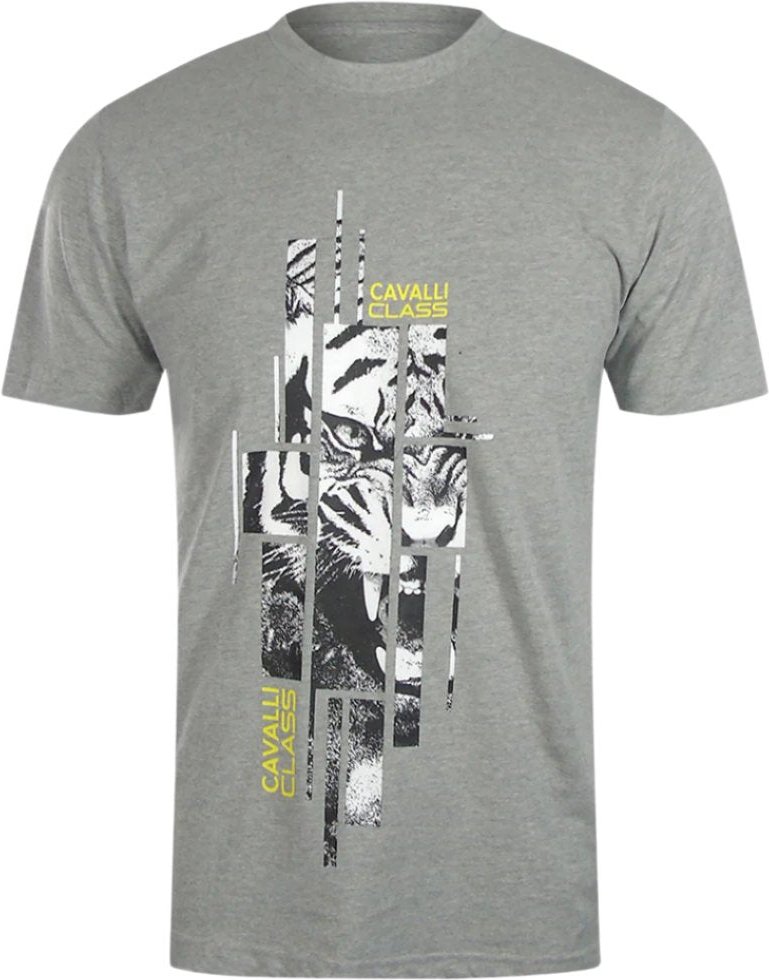 Cavalli Class - Graues T-shirt Mit Abstraktem Tiger-logo