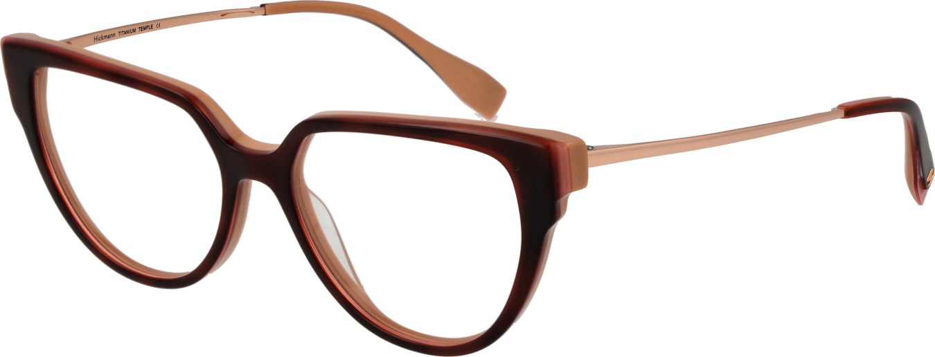 Ana Hickmann Brillenfassung HI6290T G21 51