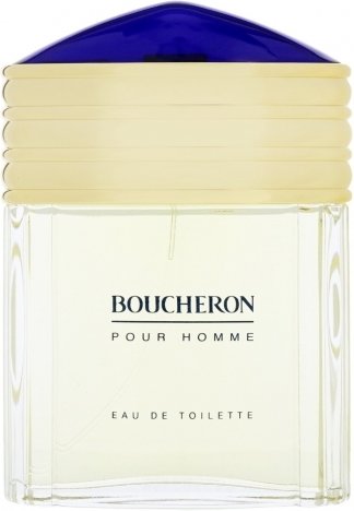 Boucheron Pour Homme Edt Spray 100 ml