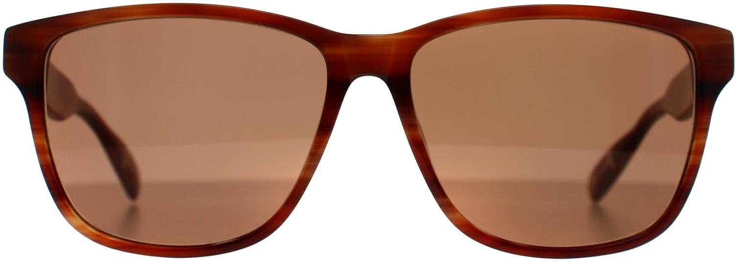 Ted Baker TB8232 151 braun Horn braun Sonnenbrille