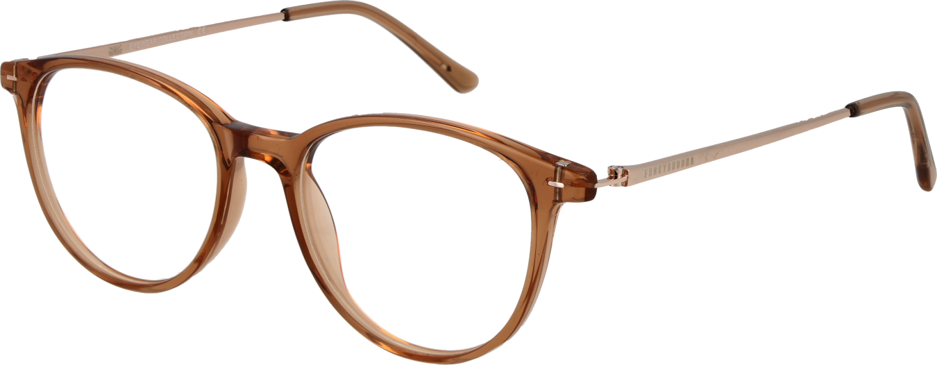 Funky Buddha Brillenfassung FBD1077 002 49