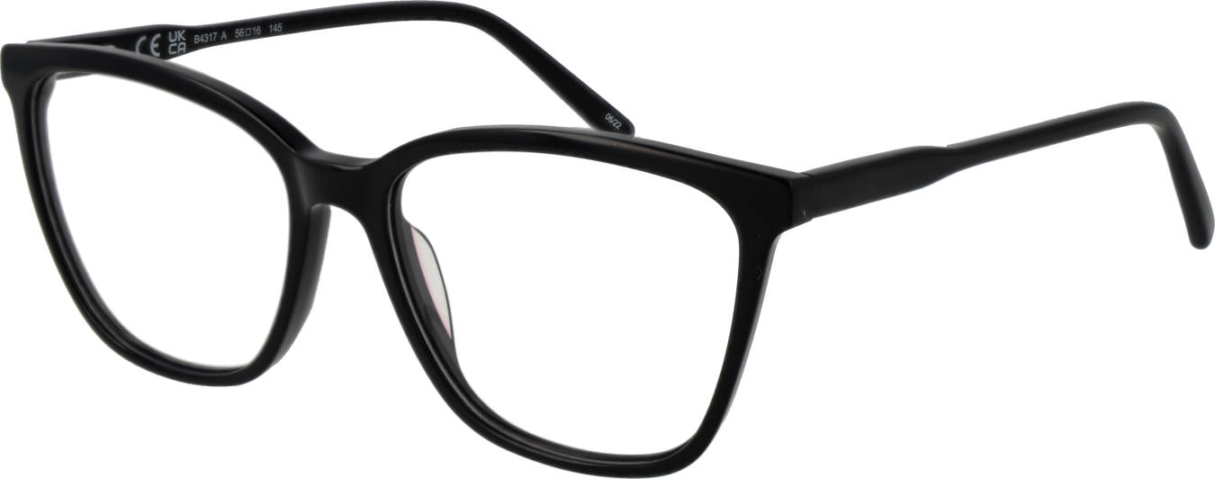 Invu Brillenfassung B4317 A 56