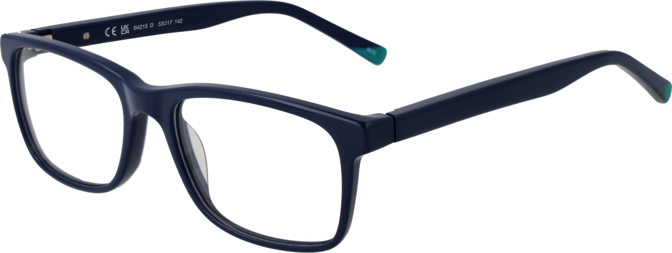 Invu Brillenfassung B4215 D 53