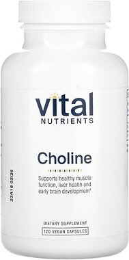 Vital Nutrients, Choline, Cholin, 120 vegane Kapseln (275 mg pro Kapsel)