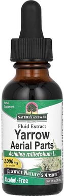 Nature's Answer, Yarrowoberirdische Pflanzenteile, alkoholfrei, 2.000 mg, 30 ml (1 fl. oz.)