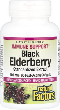Natural Factors, Black Elderberry, schwarzer Holunder, 100 mg, 60 schnell wirkende Weichkapseln