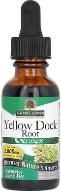 Thumbnail - Nature's Answer, Yellow Dock Root, gelbe Dockwurzel, alkoholfrei, 500 mg, 30 ml (1 fl. oz.)