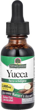 Nature's Answer, Yucca, Alkohol-Extrakt, 2000 mg, 30 ml (1 fl oz)
