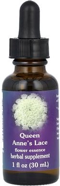 Flower Essence Services, Queen Anne's Lace, Blütenessenz, 30 ml (1 fl. oz.)