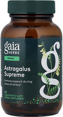 Gaia Herbs, Astragalus Supreme, 60 vegane, mit Flüssigkeit gefüllte Phyto-Kapseln