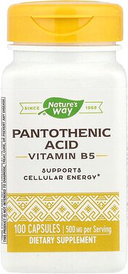 Nature's Way, Pantothenic Acid, Pantothensäure, Vitamin B 5, 500 mg, 100 Kapseln (250 mg pro Kapsel)