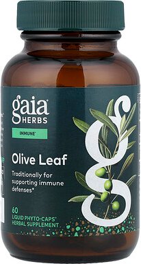 Gaia Herbs, Olive Leaf, Olivenblatt, 60 flüssige Phyto-Caps®