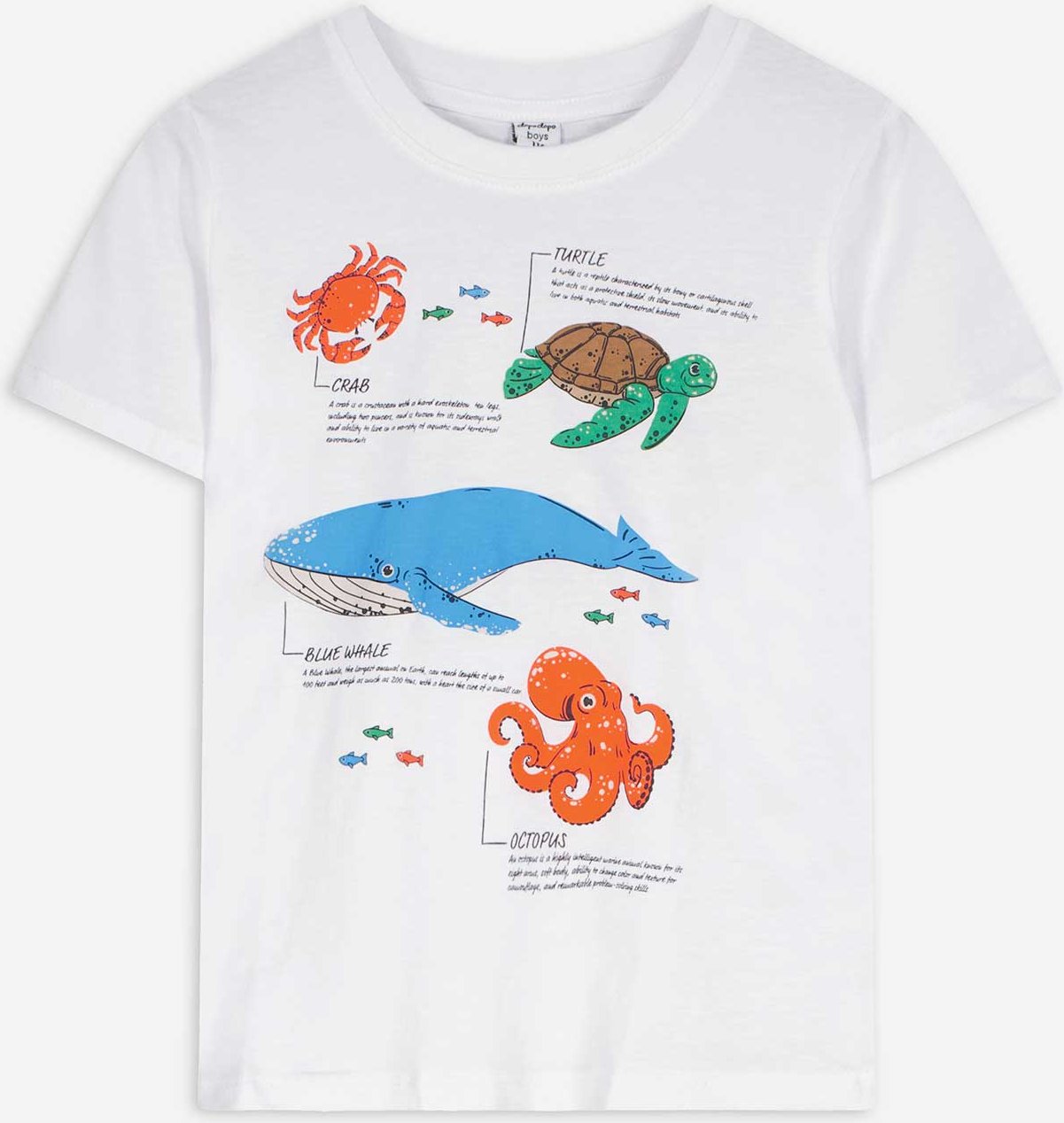 T-Shirt - Frontprint - weiß