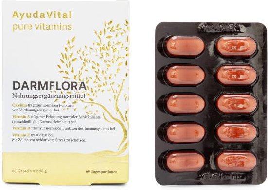 AYUDA VITAL Darmflora 60 Kapseln