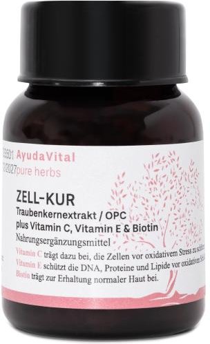 AYUDA VITAL Pure Herbs- Zell-Kur 120 Kapseln