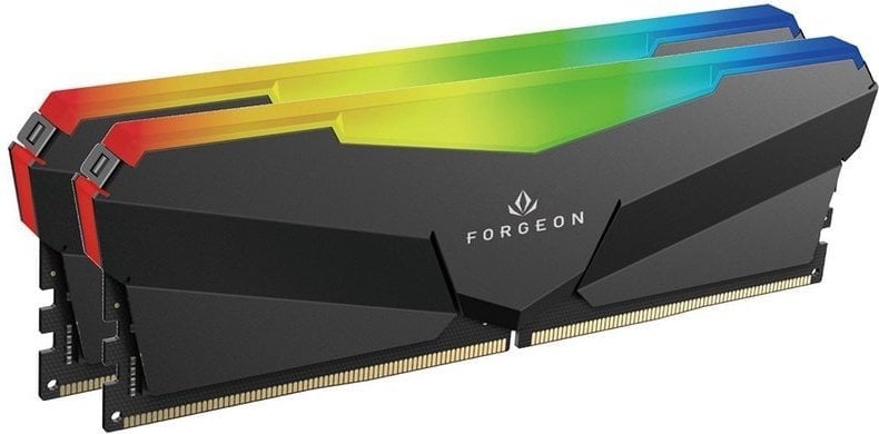 Forgeon Cyclone PRO RGB DDR5 6000 MHz 32GB 2x16GB CL36 Intel XMP AMD Expo Negra